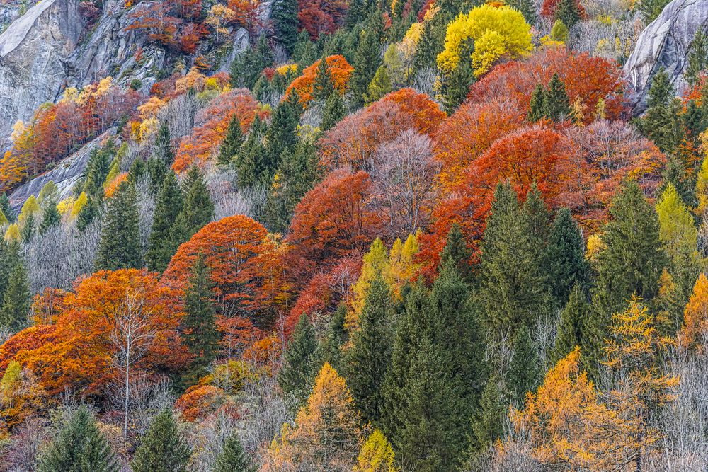 Photograph by Paolo Barbarini