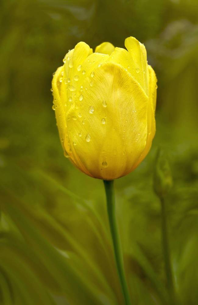 Photograph by Мишустина Татьяна