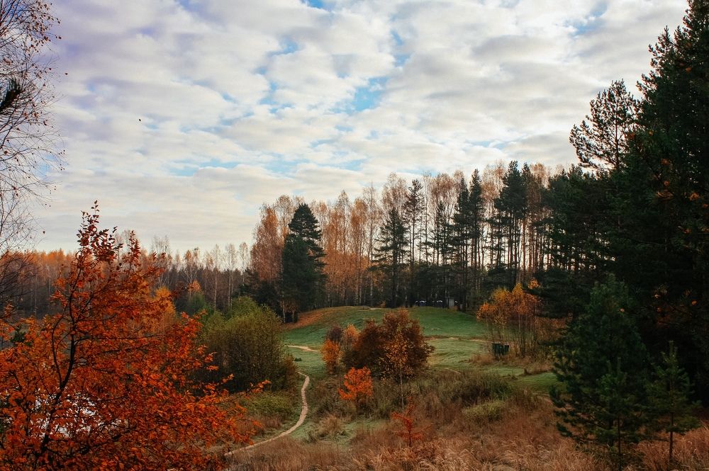 Photograph by Мария Грин (Сычёва)