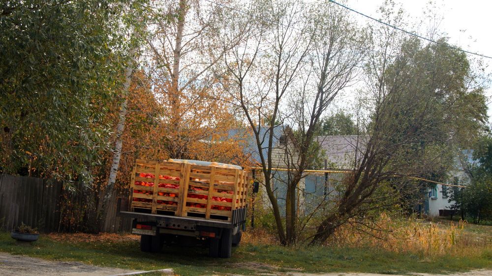 Фотография автора Мария Черница