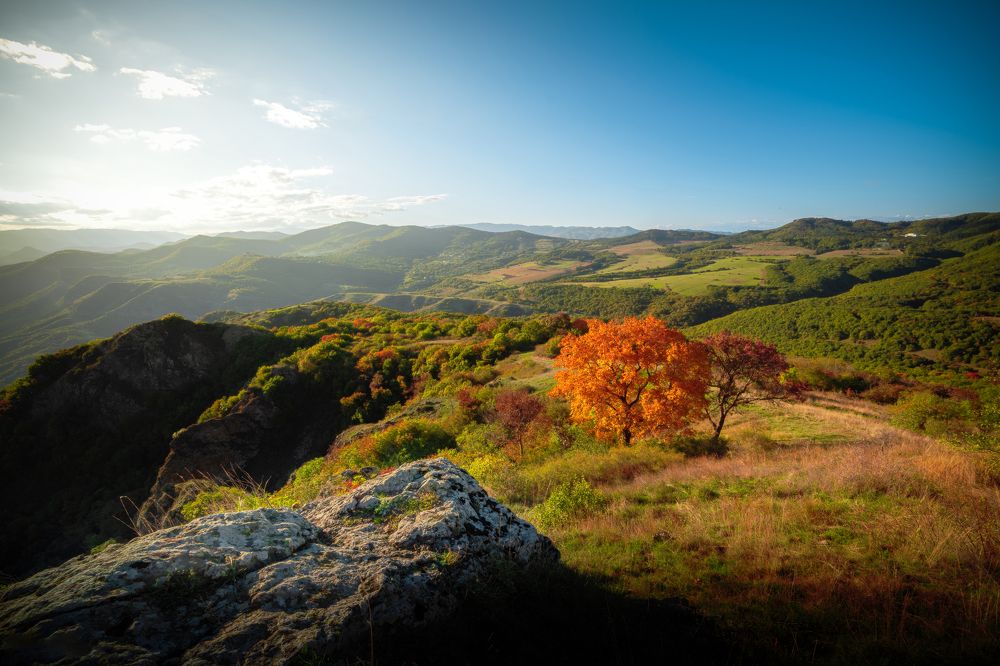 Photograph by Saba Gloveli