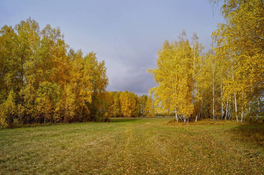 Photograph by Мишустина Татьяна