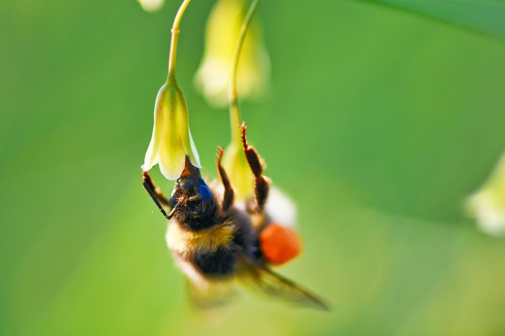 Photograph by Nomorenicknames