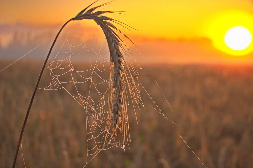 Восход солнца.