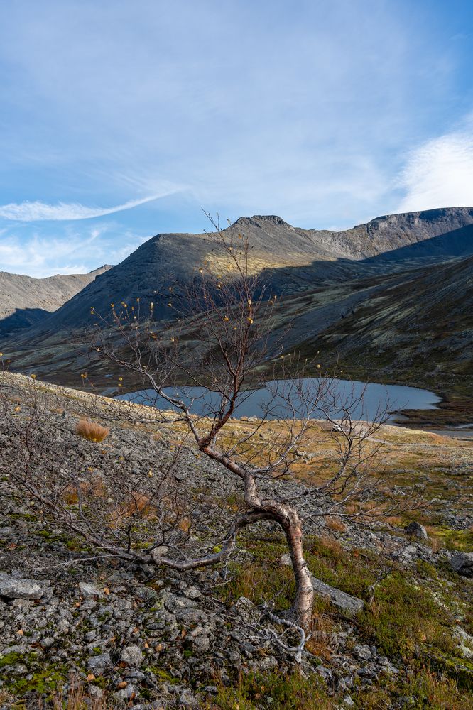 Photograph by Владимир Запорожченко