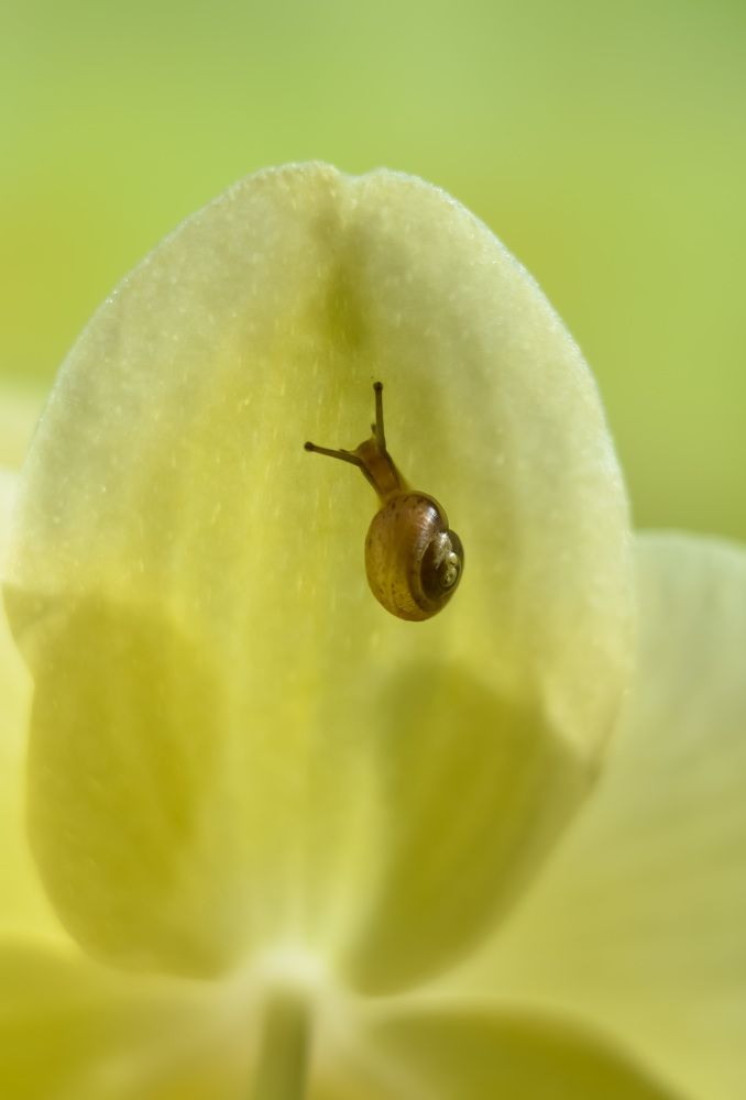 Photograph by Ирина Никульча