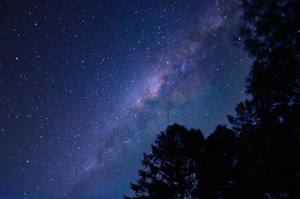 Photograph by Nomorenicknames