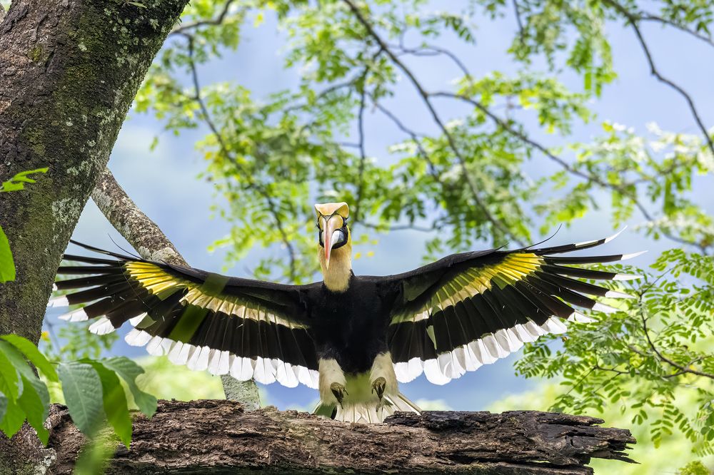 Photograph by Pompi Bera