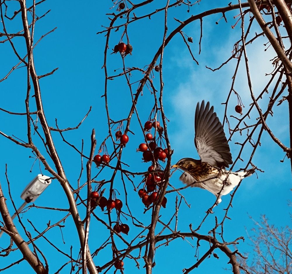 Photograph by Екатерина Балабасева