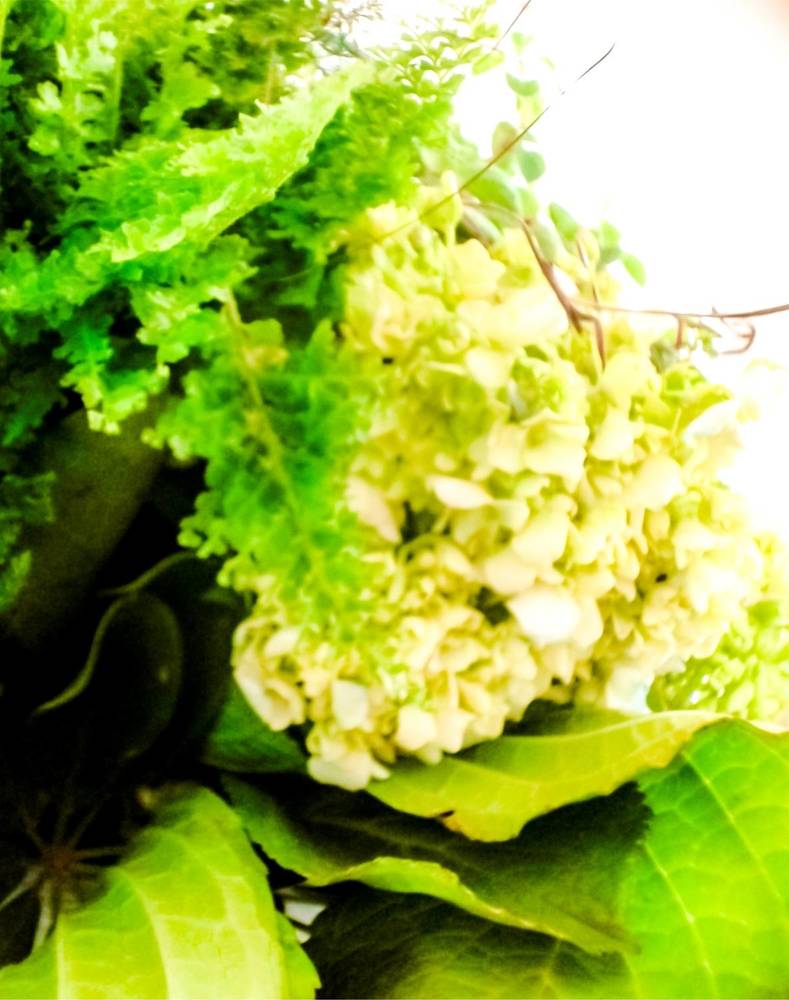 Фотография автора Tiago Cruz