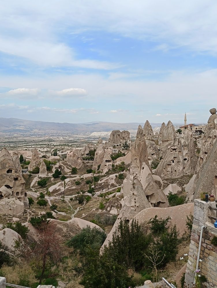 Фотография автора Елена Александрова