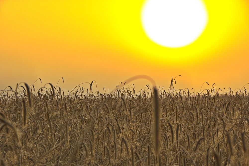 Фотография автора Анатолий Борисов