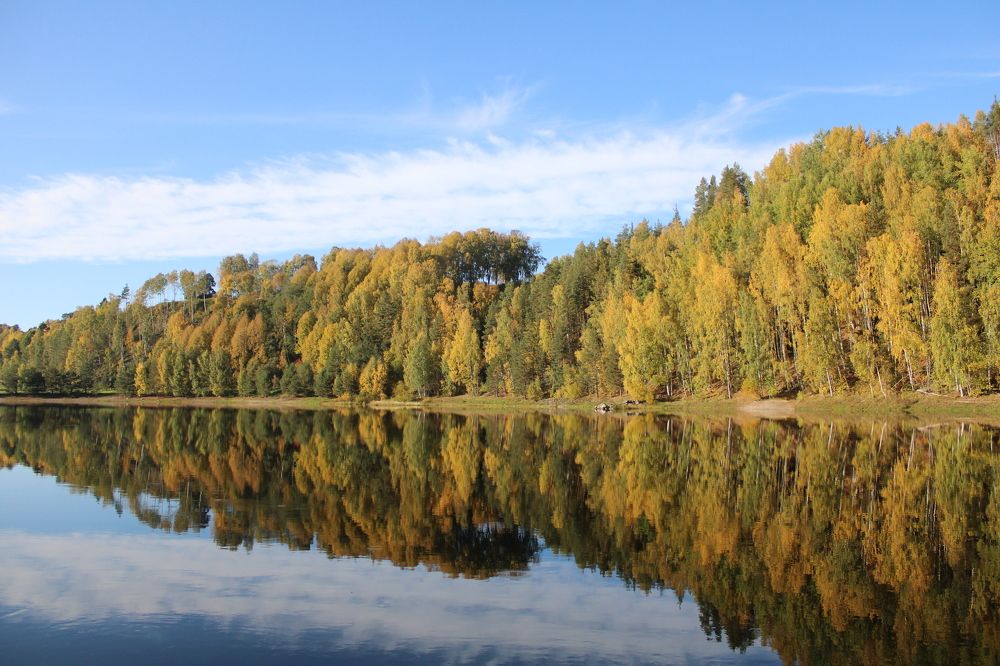 Photograph by Farah Ali