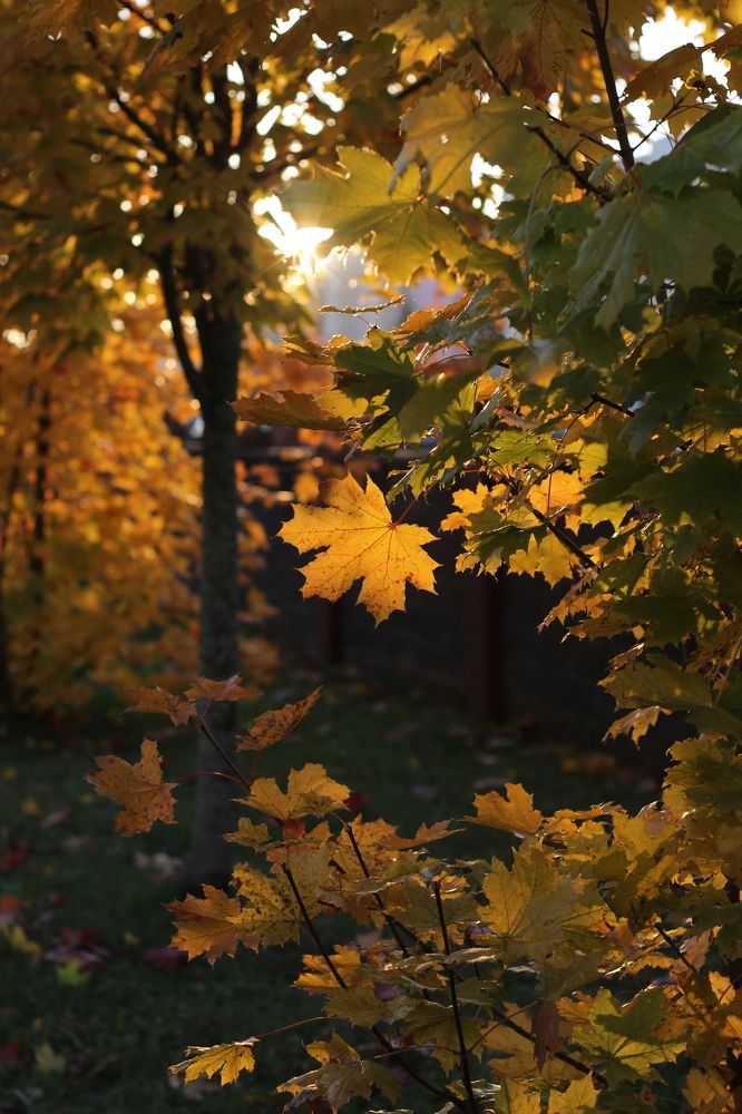 Photograph by Оксана Бурцева