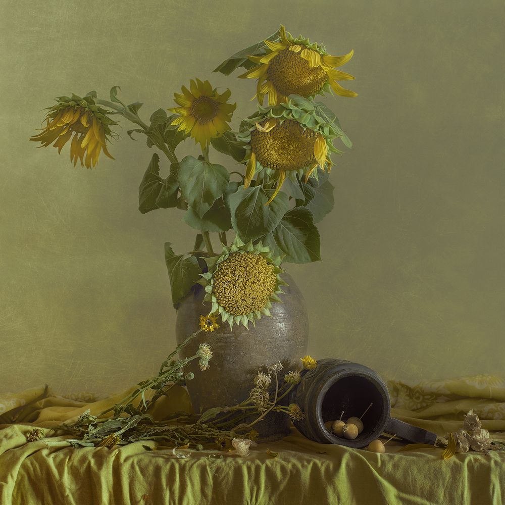 Photograph by Ада Авдонина