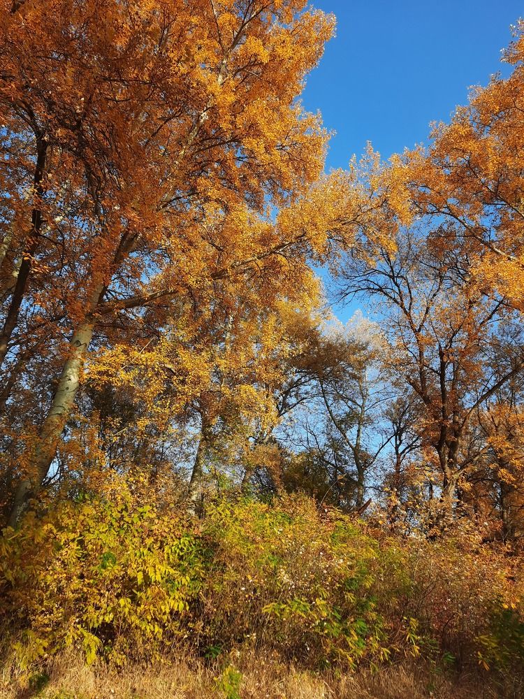 Photograph by Елена Валерьевна