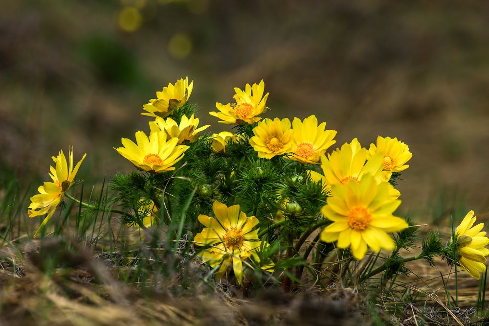 Photograph by Сергей Конюшенко