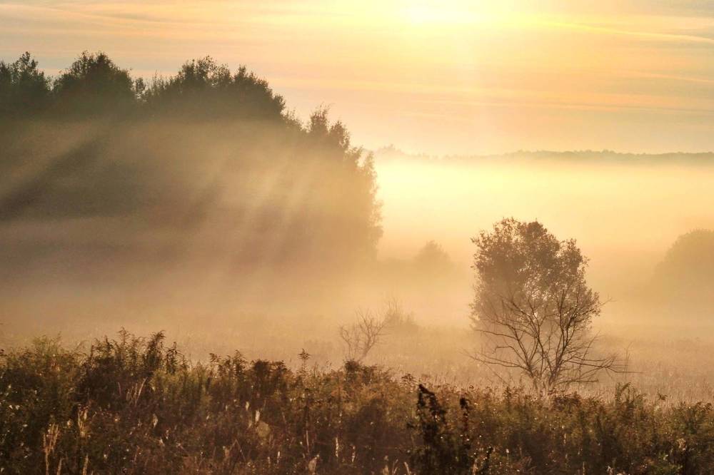 Photograph by Инна Карасева