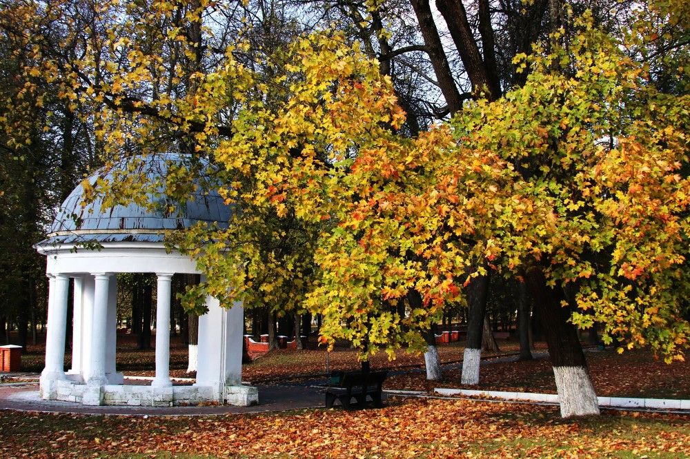 БЕСЕДКА В МАРФИНО