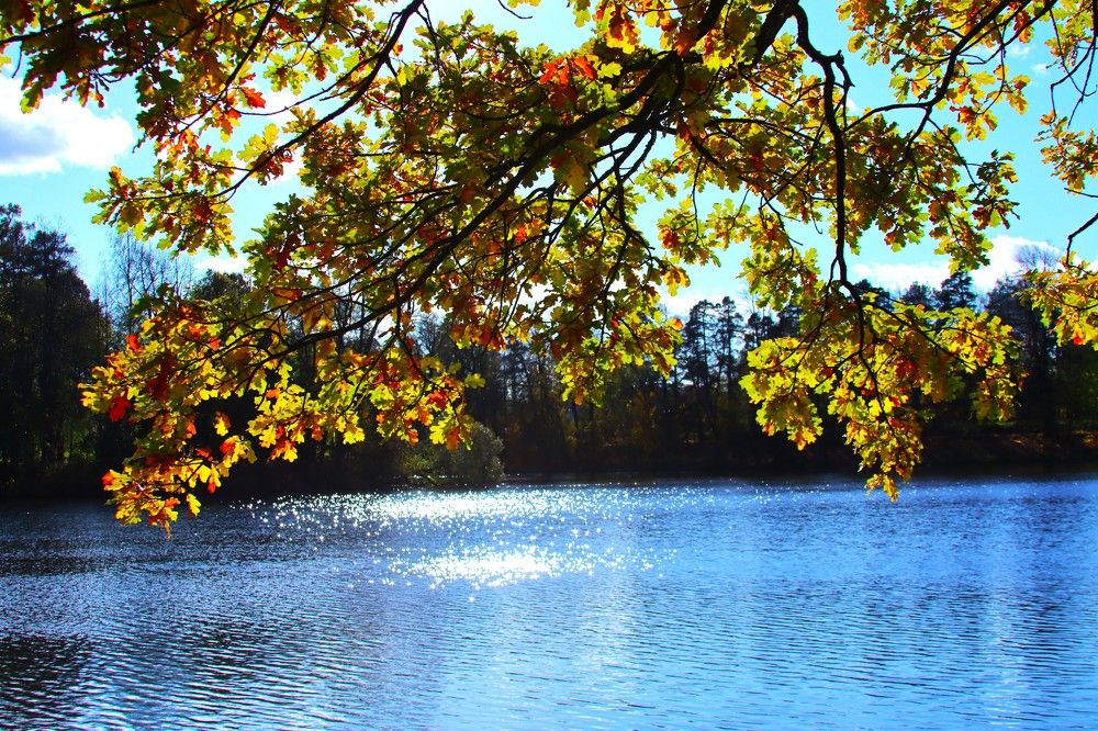 Photograph by ОЛЬГА ДЕРБЕНЕВА