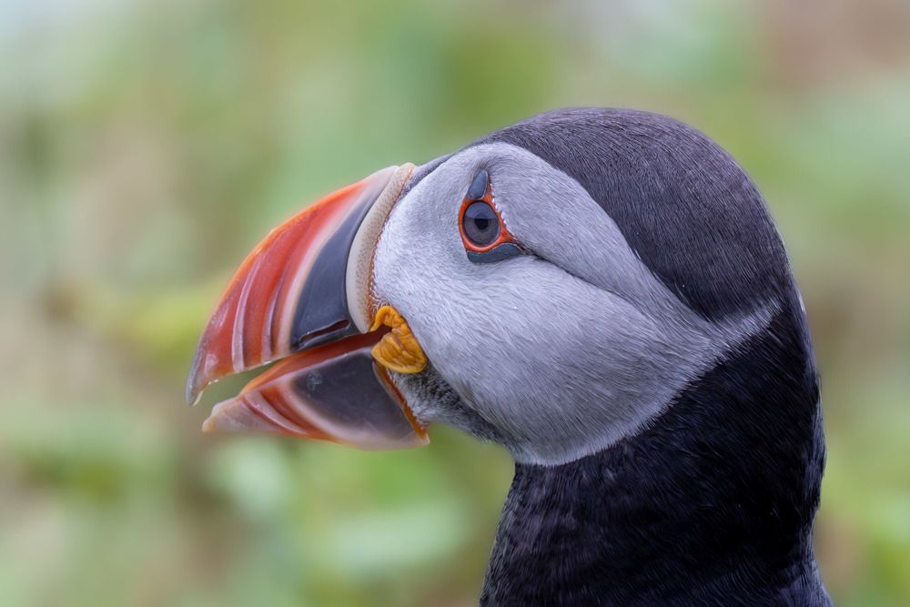 Photograph by Ellen Lichtenheldt