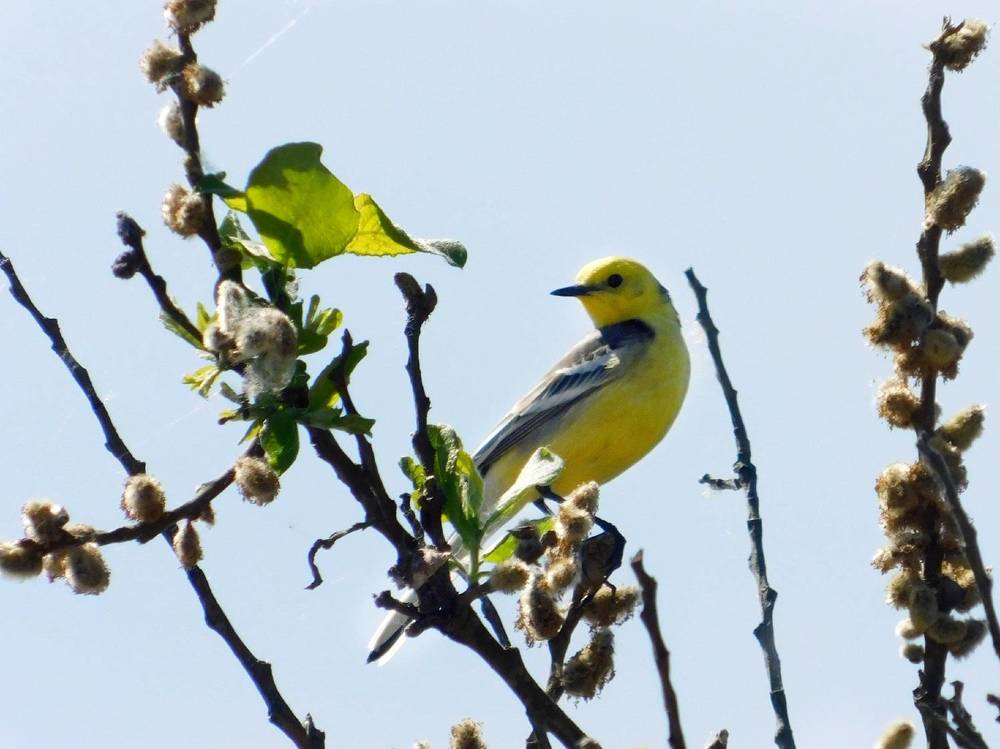 Photograph by Татьяна Колчанова