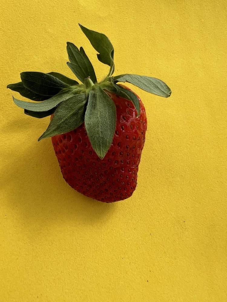 Photograph by Анастасия Германова