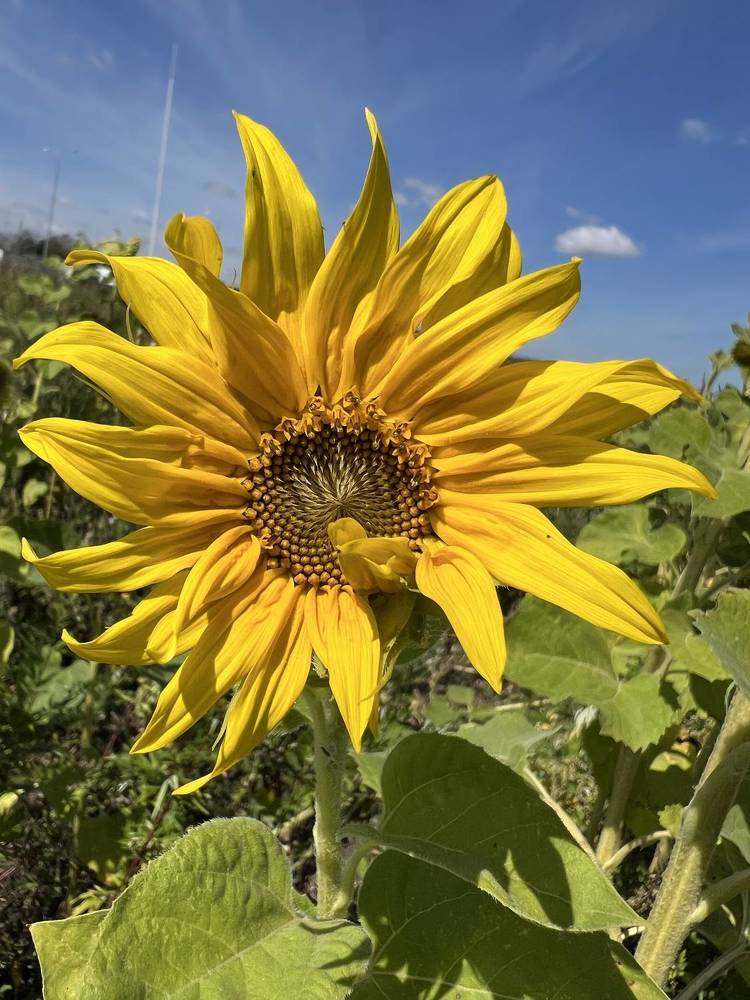 Photograph by Анастасия Германова