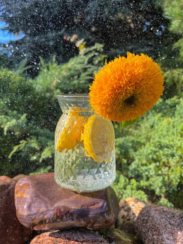 Photograph by Анастасия Германова