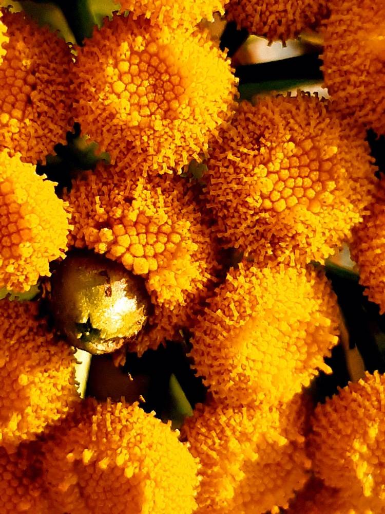 Photograph by Екатерина