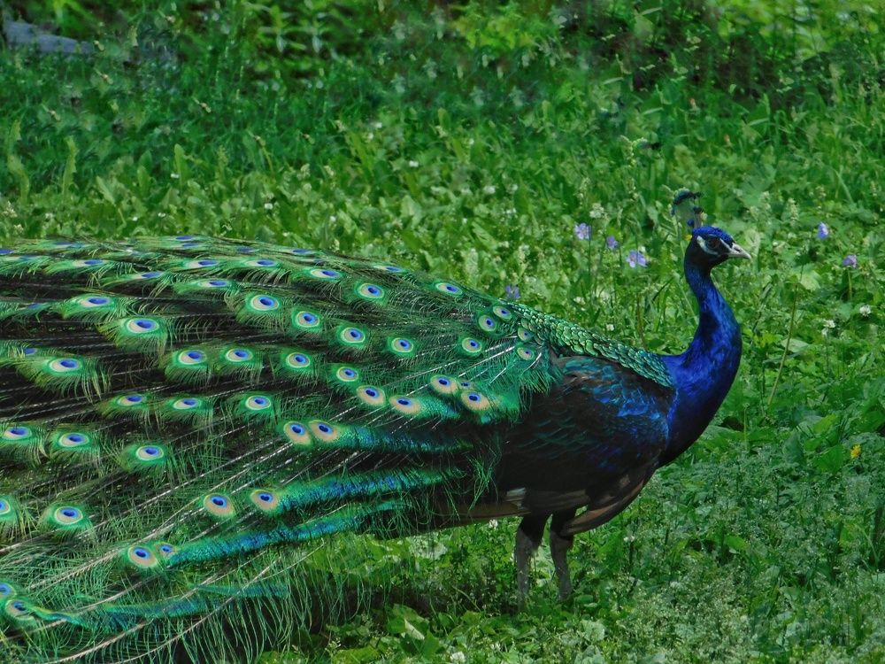 Photograph by Татьяна Колчанова