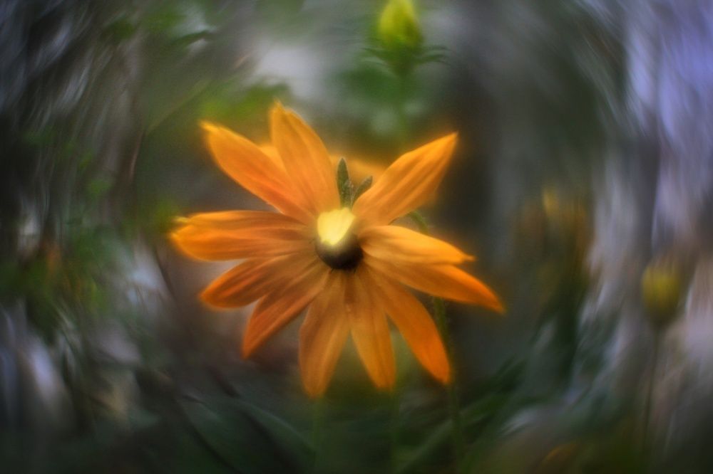 Photograph by Инна Карасева