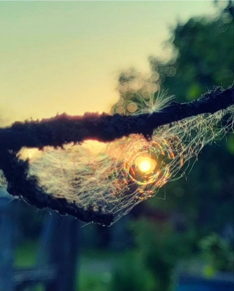 Photograph by Наталья