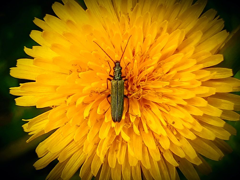 Photograph by Екатерина