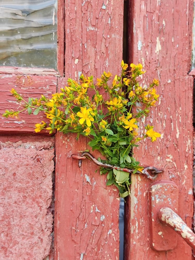 Photograph by Олеся Хижко