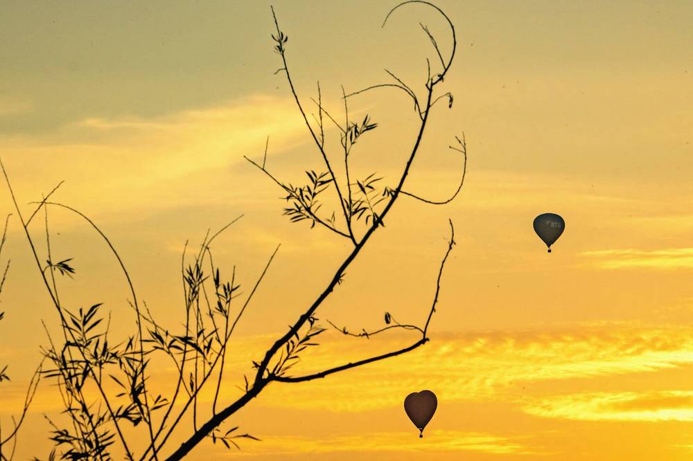 Фотография автора Светлана Разумовская