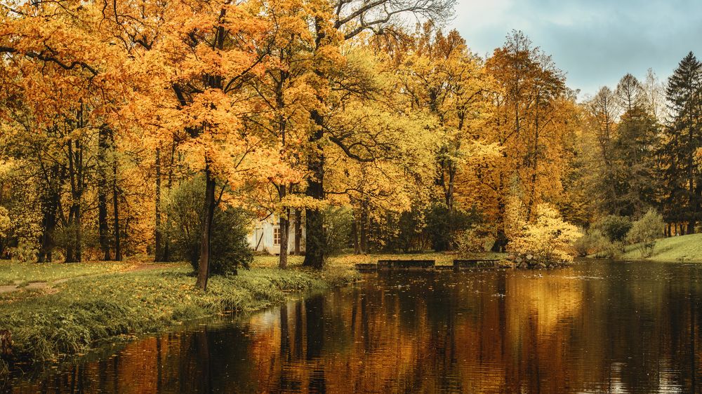 Photograph by Aleksandr Belov