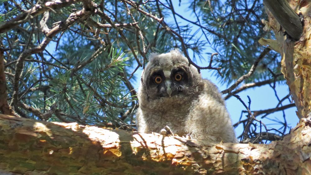 Photograph by Alexsandr Gl