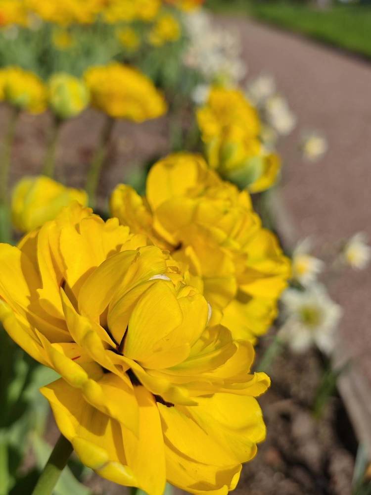 Photograph by Natalya Guseva