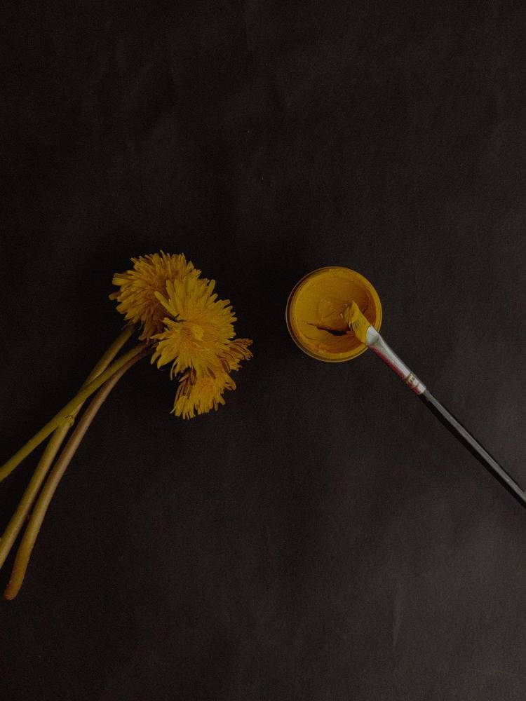 Photograph by Алия Латыйпова