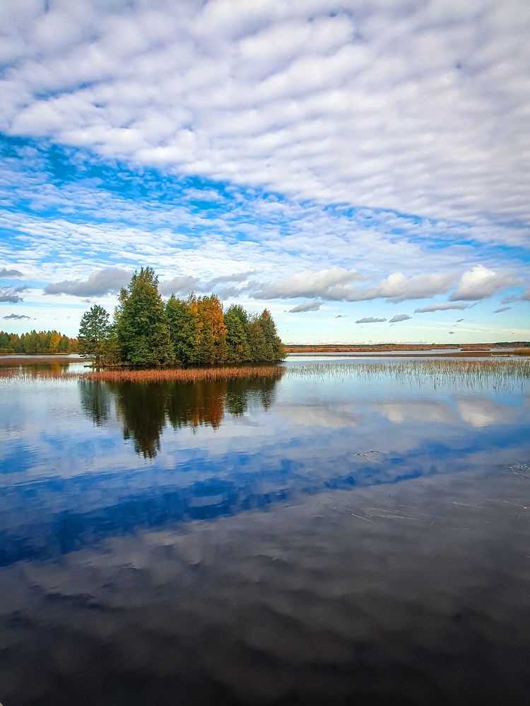 Фотография автора Inna Evseeva