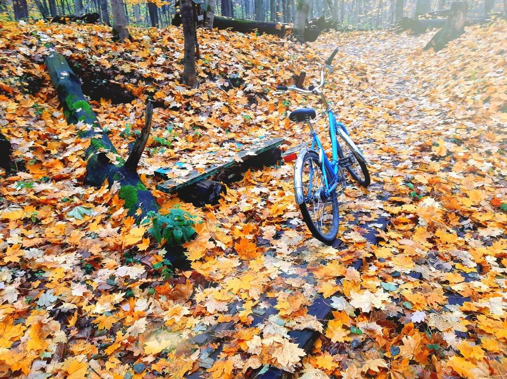 Photograph by Екатерина