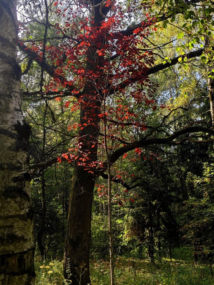 Photograph by Natalya Guseva