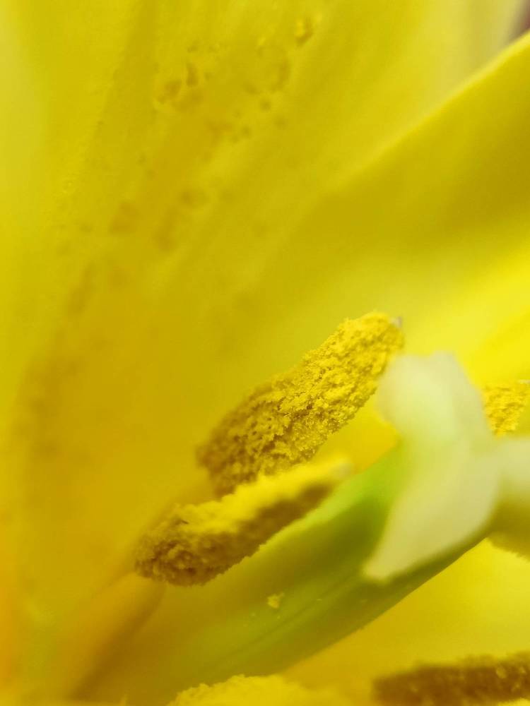 Photograph by Карина Слабкая