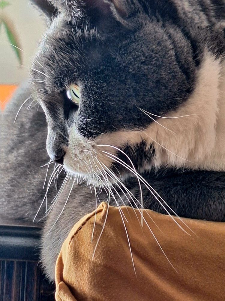 Photograph by Sonia Crotta