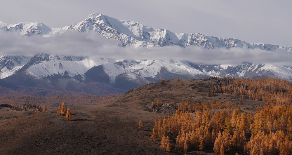 Фотография автора Галина