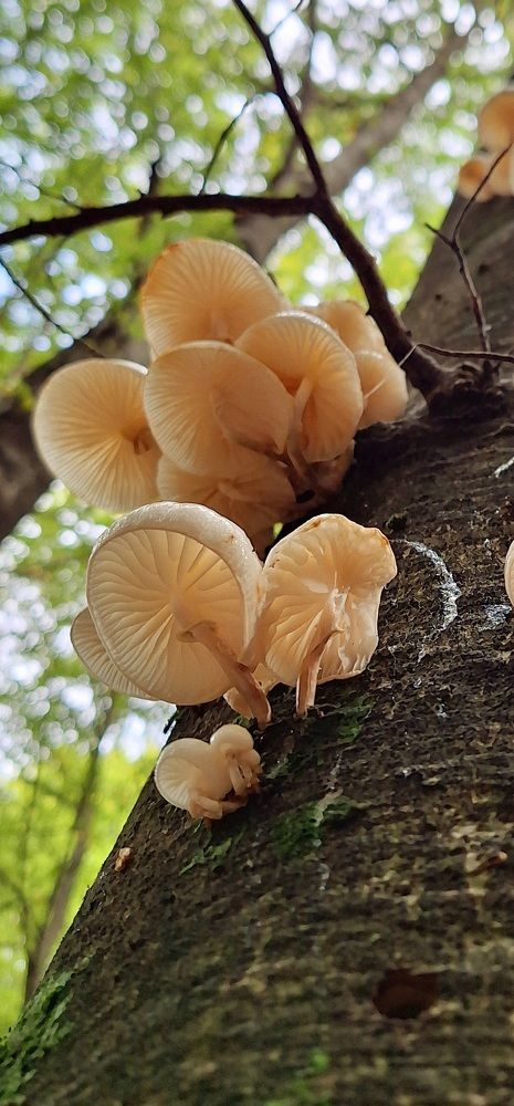 Photograph by Sonia Crotta