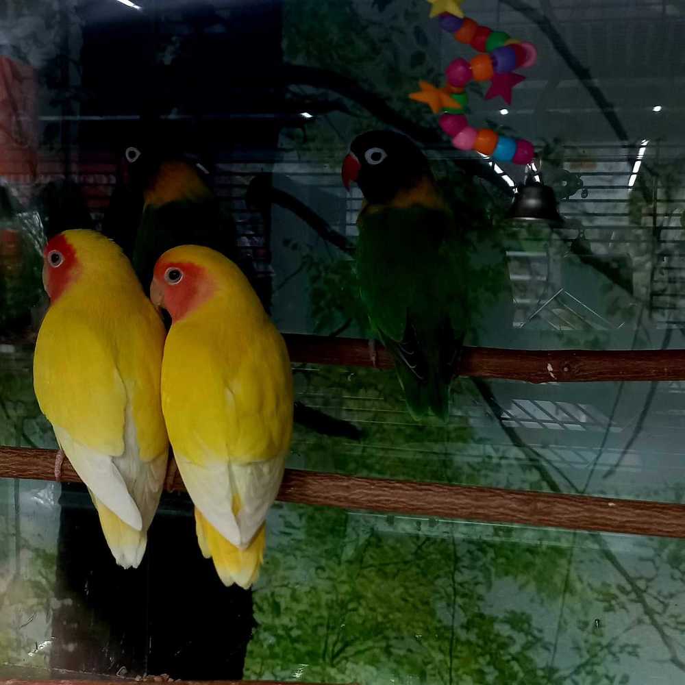 Photograph by Каковкина Ольга