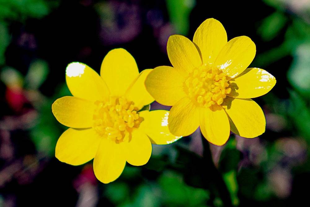 Photograph by Назмутдинова Сауия