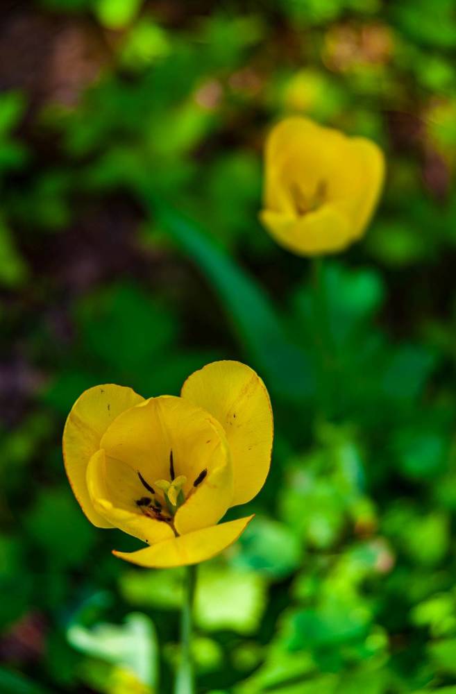 Фотография автора Виталий Дузь